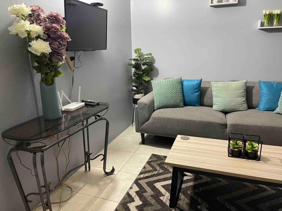 One Bedroom City Apartment Fully Ac With 24Hrs Security Kingston Exterior foto