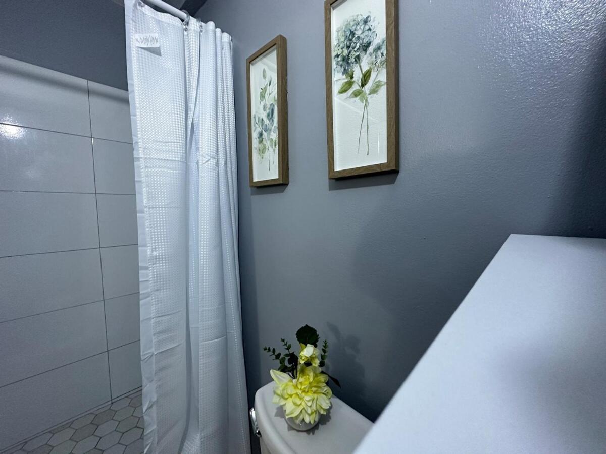 One Bedroom City Apartment Fully Ac With 24Hrs Security Kingston Exterior foto